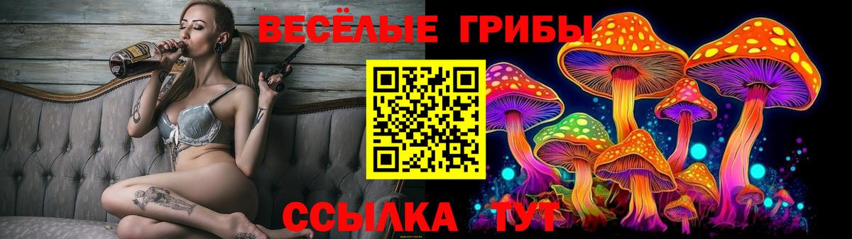 Псилоцибиновые грибы Magic Shrooms Карачаевск