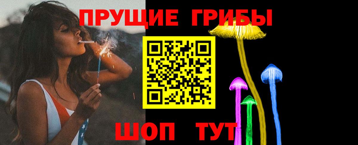 Галлюциногенные грибы Psilocybe  Вход с VPN  Карачаевск 